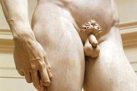 Little dick