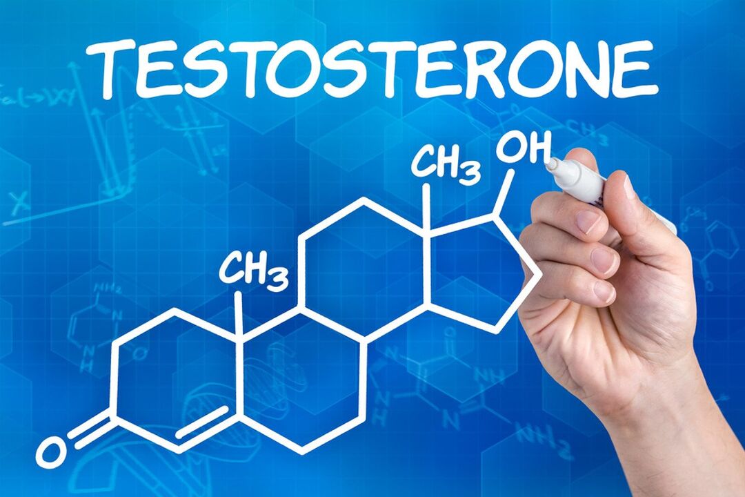 testosterone and its effect on penile size at age 14