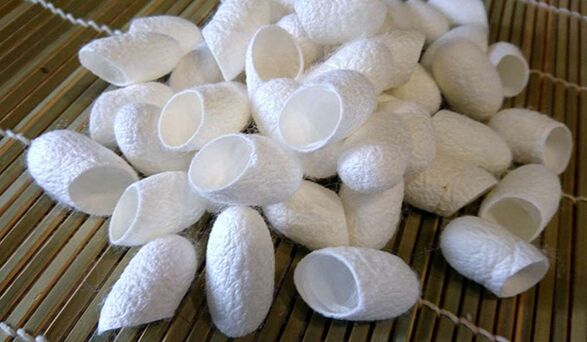 Chinese silkworm threads promote penile growth