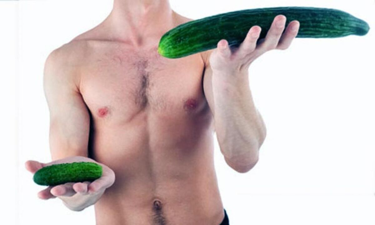 large and small dick size on the example of cucumbers